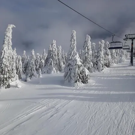 1a Jollykop 아파트 *