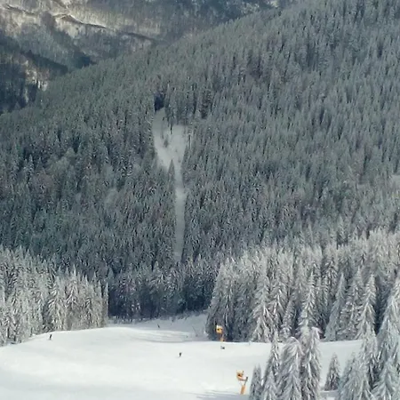 Apartman 1a Jollykop