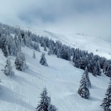 1a Jollykop 아파트 *