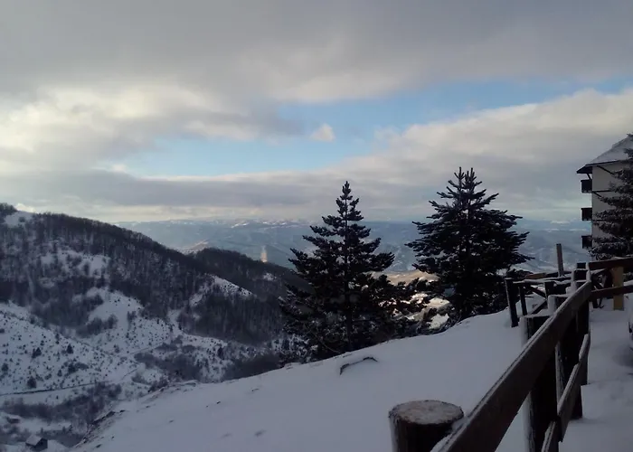 1a Jollykop Daire Kopaonik